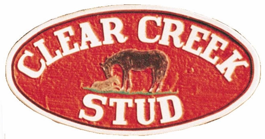 Clear Creek Stud