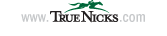 True Nicks logo