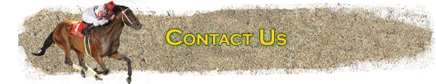 Contact Us